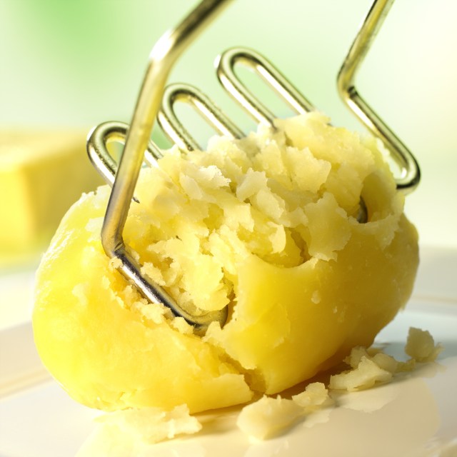 shutterstock_251161480